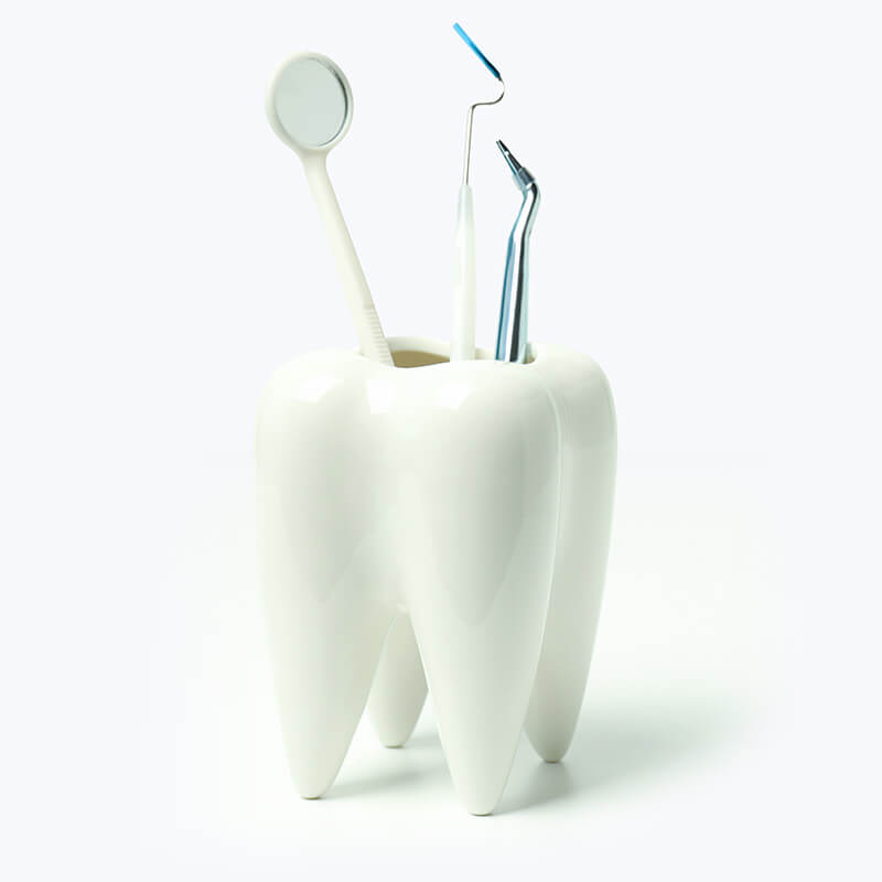 Dentistry tools in tooth shaped holder